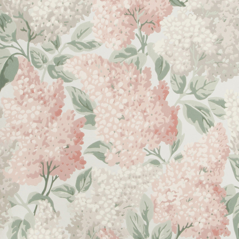 Lilac Bslipper/Dve/Sbirch by Cole & Son Wallcovering Cole & Son Wallcovering Lilac Bslipper/Dve/SbirchWallcovering COLE & SON BOTANICAL BOTANICA PAPER - 100% United Kingdom </p><p>Repeat: H: 20.5, V: 25.2 20.5 - Fabric Carolina -