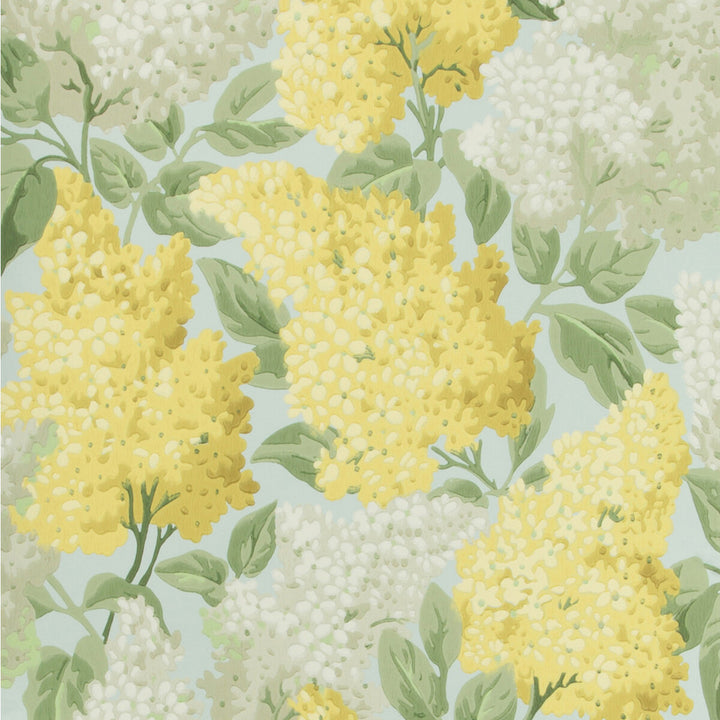 Lilac Lemon/Olive/Prm Blue by Cole & Son Wallcovering COLE & SON BOTANICAL BOTANICA PAPER - 100% United Kingdom - Horizontal: 20.5 and Vertical: 25.2 20.5 - Fabric Carolina -