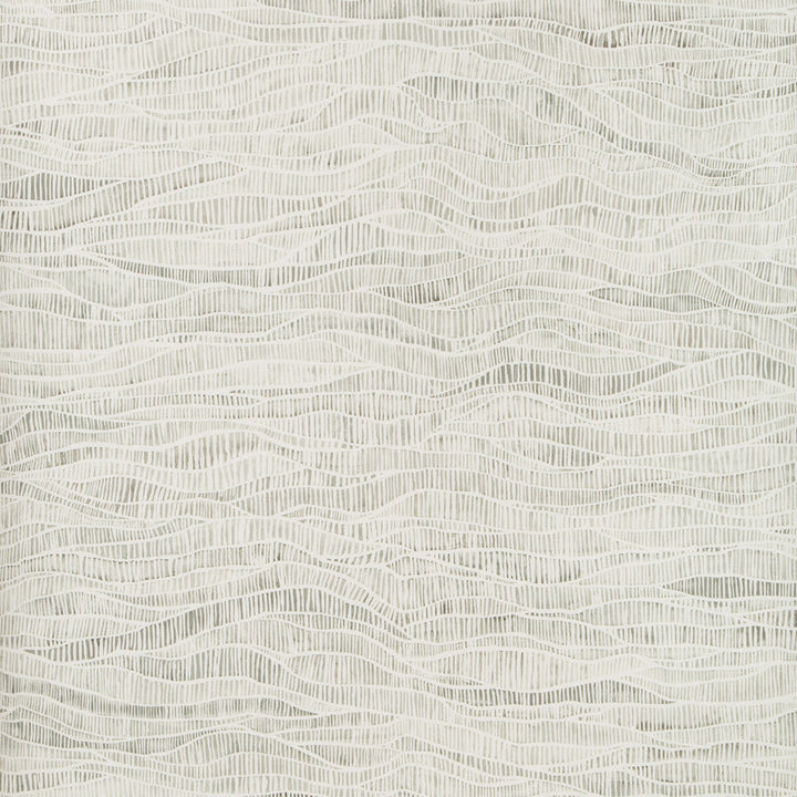 Meadow Soot by Cole & Son Wallcovering Cole & Son Wallcovering Meadow SootWallcovering COLE & SON BOTANICAL BOTANICA PAPER - 100% United Kingdom </p><p>Repeat: H: , V: 20.5 20.5 - Fabric Carolina -