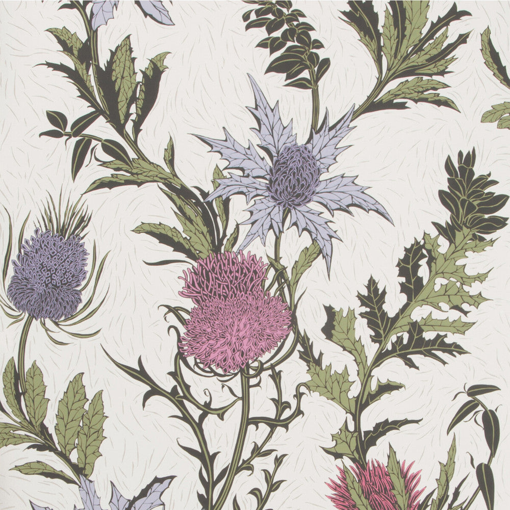Thistle Lilac/Cerise/White by Cole & Son Wallcovering Cole & Son Wallcovering Thistle Lilac/Cerise/WhiteWallcovering COLE & SON BOTANICAL BOTANICA PAPER - 100% United Kingdom </p><p>Repeat: H: , V: 25.2 20.5 - Fabric Carolina -