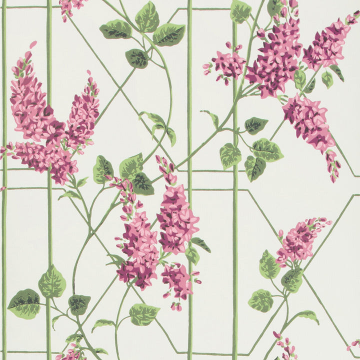 Wisteria Magenta/Green/Wh by Cole & Son Wallcovering COLE & SON BOTANICAL BOTANICA PAPER - 100% United Kingdom Horizontal: 20.5 and Vertical: 20.5 20.5 - Fabric Carolina -