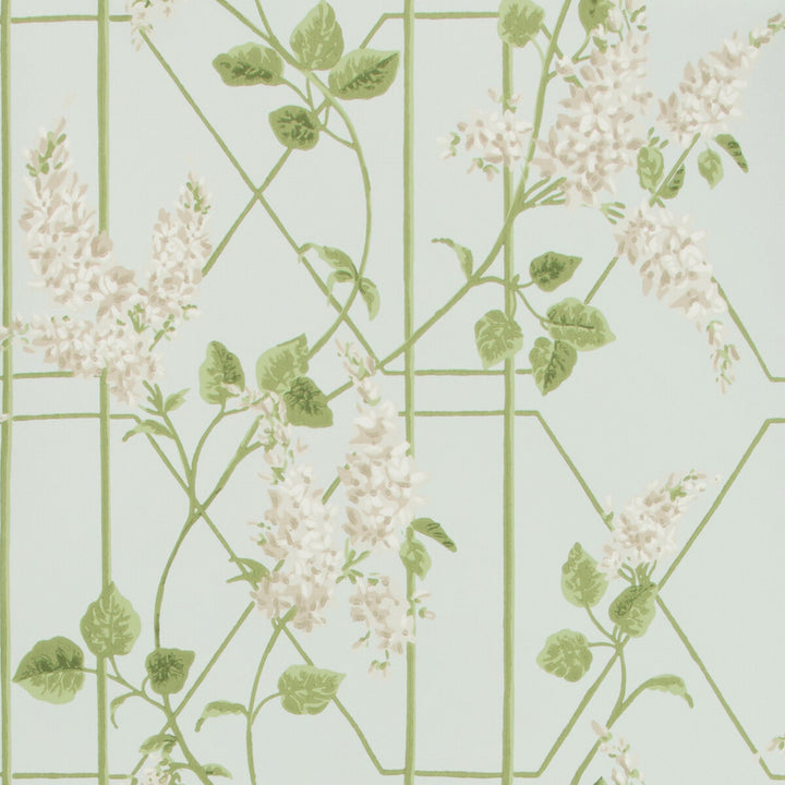 Wisteria Stone/Olive/D Egg by Cole & Son Wallcovering COLE & SON BOTANICAL BOTANICA PAPER - 100% United Kingdom - Horizontal: 20.5 and Vertical: 20.5 20.5 - Fabric Carolina -