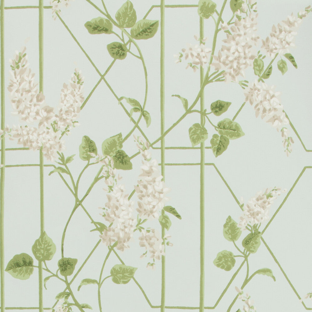 Wisteria Stone/Olive/D Egg by Cole & Son Wallcovering COLE & SON BOTANICAL BOTANICA PAPER - 100% United Kingdom - Horizontal: 20.5 and Vertical: 20.5 20.5 - Fabric Carolina -