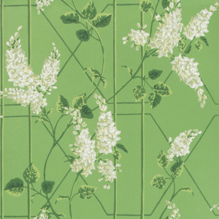 Wisteria Sage/Leaf Green by Cole & Son Designer Wallcovering COLE & SON BOTANICAL BOTANICA PAPER - 100% United Kingdom - Horizontal: 20.5 and Vertical: 20.5 20.5 - Swanky Fabrics -