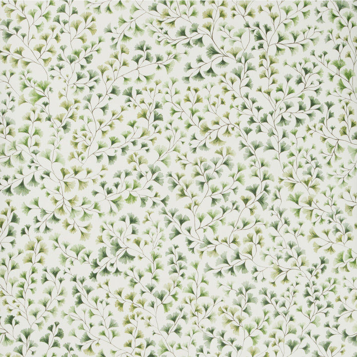 Maidenhair Olive by Cole & Son Wallcovering COLE & SON BOTANICAL BOTANICA PAPER - 100% United Kingdom Horizontal: and Vertical: 20.5 20.5 - Fabric Carolina -
