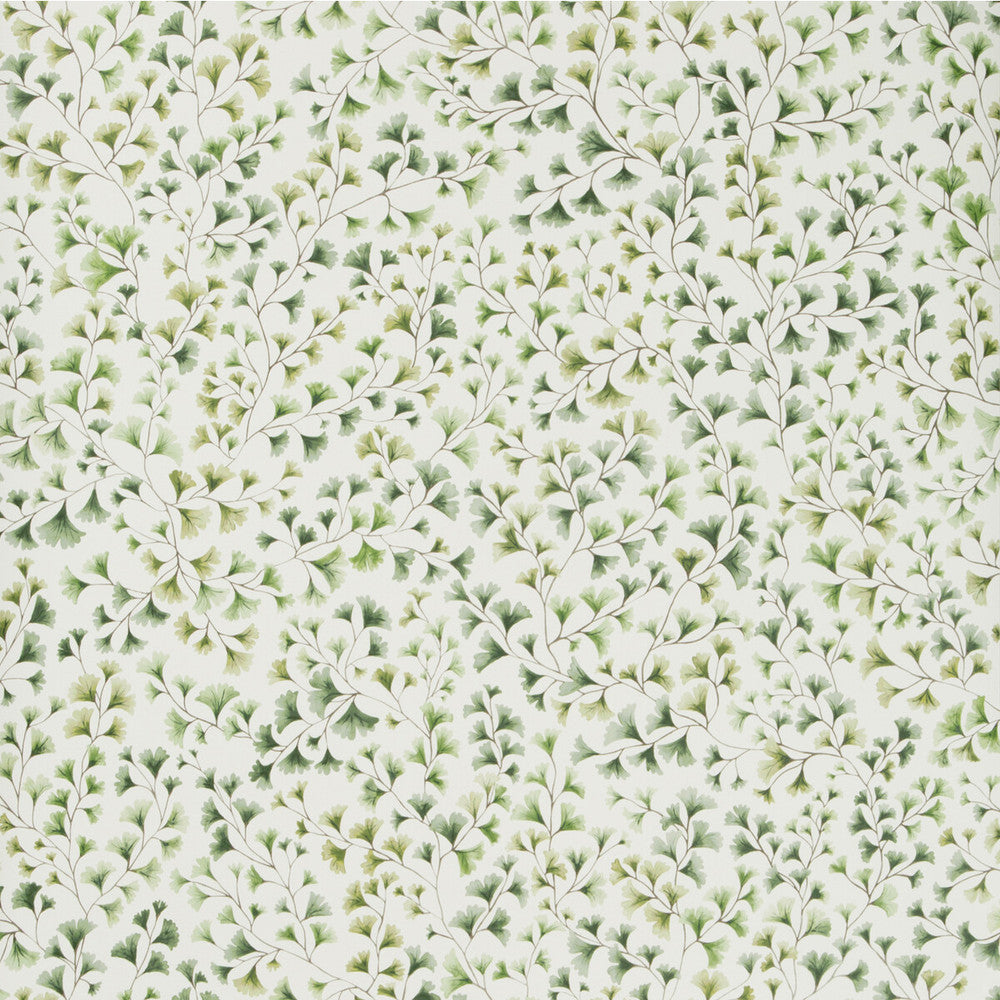 Maidenhair Olive by Cole & Son Wallcovering COLE & SON BOTANICAL BOTANICA PAPER - 100% United Kingdom - Horizontal: - and Vertical: 20.5 20.5 - Fabric Carolina -