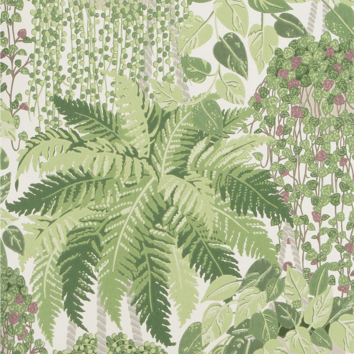 Fern Leaf Green And Olive by Cole & Son Wallcovering Cole & Son Wallcovering Fern Leaf Green And OliveWallcovering COLE & SON BOTANICAL BOTANICA PAPER - 100% United Kingdom </p><p>Repeat: H: , V: 25.2 20.5 - Fabric Carolina -