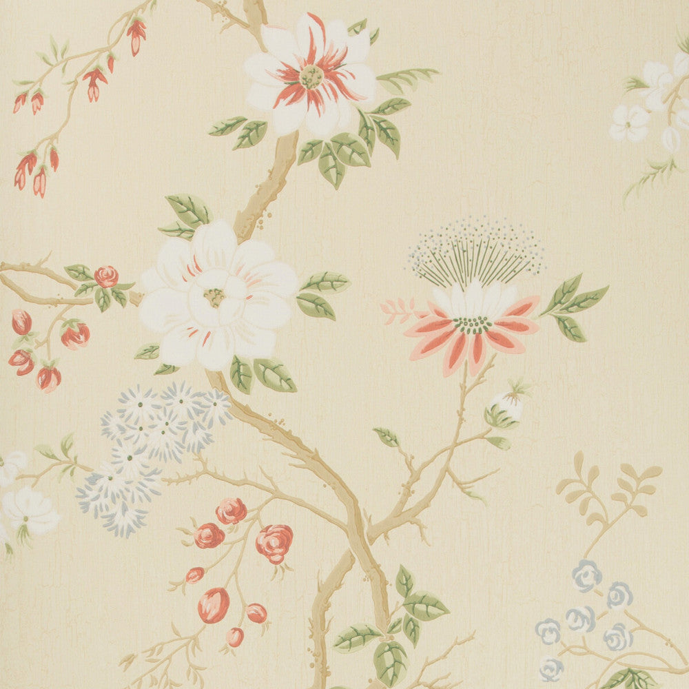 Camellia Coral/Sage/Butterc by Cole & Son Wallcovering Cole & Son Wallcovering Camellia Coral/Sage/ButtercWallcovering COLE & SON BOTANICAL BOTANICA PAPER - 100% United Kingdom </p><p>Repeat: H: , V: 24 20.5 - Fabric Carolina -