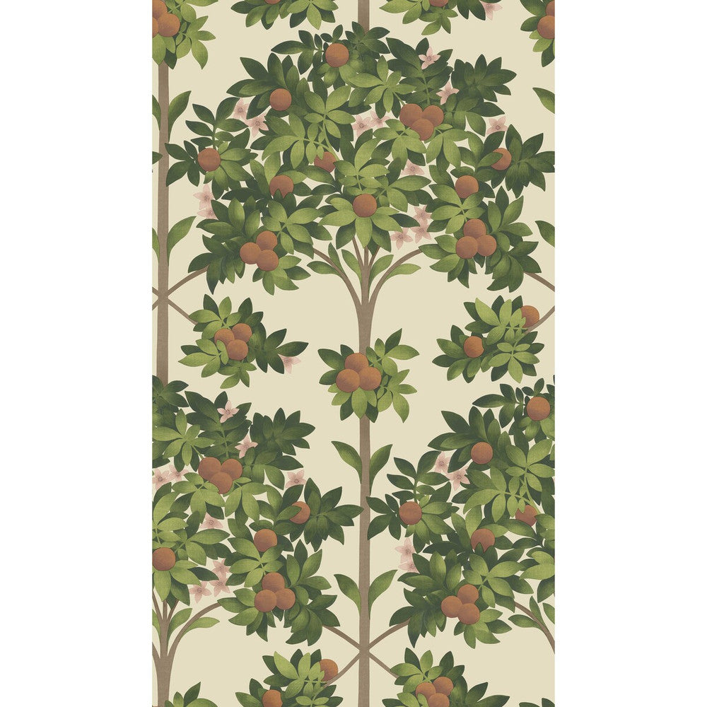 Orange Blossom Orange & Spring Green/Parch by Cole & Son Wallcovering COLE & SON SEVILLE NON WOVEN - 100% United Kingdom Horizontal: 20.5 and Vertical: 35.9 20.5 - Fabric Carolina -