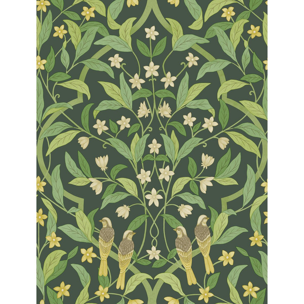 Jasmine & Serin Symphony Yellow/Grn/Forest by Cole & Son Designer Wallcovering COLE & SON SEVILLE NON WOVEN - 100% United Kingdom Horizontal: 20.5 and Vertical: 27 20.5 - Swanky Fabrics -