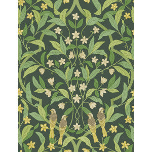 Jasmine & Serin Symphony Yellow/Grn/Forest by Cole & Son Wallcovering