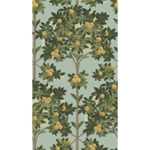 Orange Blossom Lemon/Dk Olive Grn/Duck Egg by Cole & Son Wallcovering