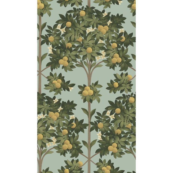 Orange Blossom Lemon/Dk Olive Grn/Duck Egg by Cole & Son Wallcovering COLE & SON SEVILLE NON WOVEN - 100% United Kingdom Horizontal: 20.5 and Vertical: 35.9 20.5 - Fabric Carolina -