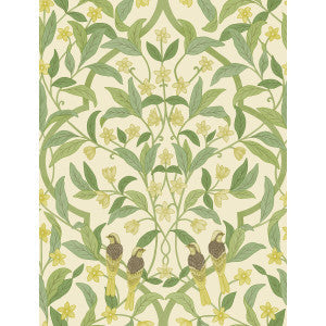 Jasmine & Serin Symphony Chartreuse/Grn/Wt by Cole & Son Wallcovering