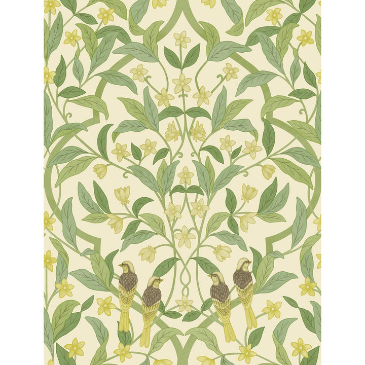 Jasmine & Serin Symphony Chartreuse/Grn/Wt by Cole & Son Wallcovering COLE & SON SEVILLE NON WOVEN - 100% United Kingdom Horizontal: 20.5 and Vertical: 27 20.5 - Fabric Carolina -