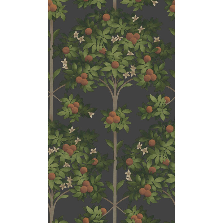 Orange Blossom Orange & Spring Green/Black by Cole & Son Wallcovering COLE & SON SEVILLE NON WOVEN - 100% United Kingdom Horizontal: 20.5 and Vertical: 35.9 20.5 - Fabric Carolina -