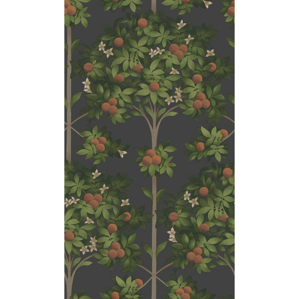 Orange Blossom Orange & Spring Green/Black by Cole & Son Wallcovering Cole & Son Wallcovering Orange Blossom Orange & Spring Green/BlackWallcovering COLE & SON SEVILLE NON WOVEN - 100% United Kingdom </p><p>Repeat: H: 20.5, V: 35.9 20.5 - Fabric Carolina -
