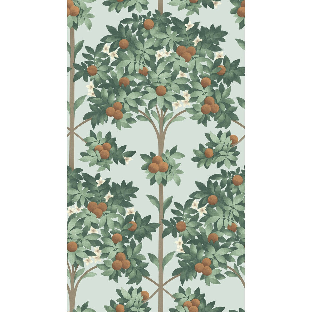 Orange Blossom Burnt Orange/Mint/Seafoam by Cole & Son Wallcovering Cole & Son Wallcovering Orange Blossom Burnt Orange/Mint/SeafoamWallcovering COLE & SON SEVILLE NON WOVEN - 100% United Kingdom </p><p>Repeat: H: 20.5, V: 35.9 20.5 - Fabric Carolina -