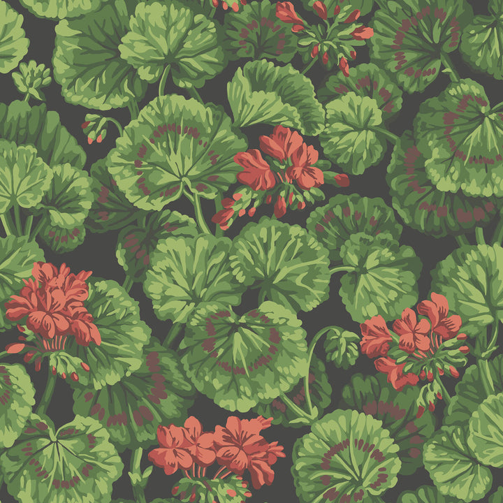 Geranium Rouge & Leaf Greens On Black by Cole & Son Wallcovering COLE & SON SEVILLE NON WOVEN - 100% United Kingdom Horizontal: 20.5 and Vertical: 20.5 20.5 - Fabric Carolina -