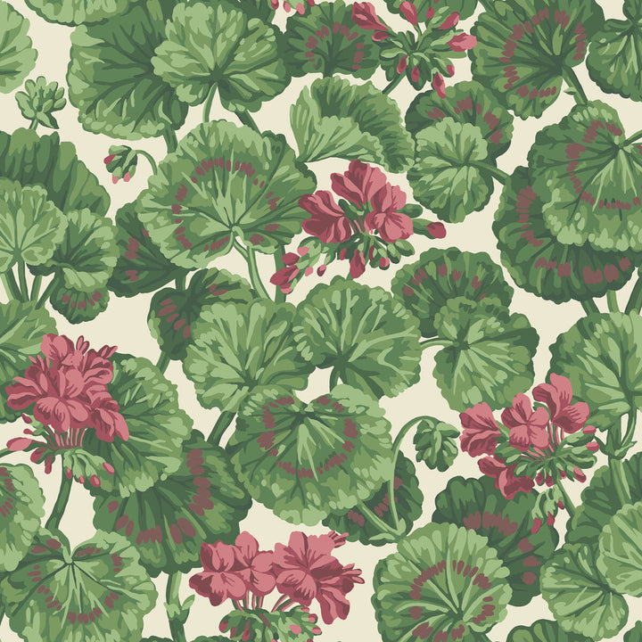 Geranium Rose/Forest Grn On Parchment by Cole & Son Wallcovering Cole & Son Wallcovering Geranium Rose/Forest Grn On Parchment Wallcovering COLE & SON SEVILLE NON WOVEN - 100% United Kingdom </p><p>Repeat: H: 20.5, V: 20.5 20.5 - Fabric Carolina -