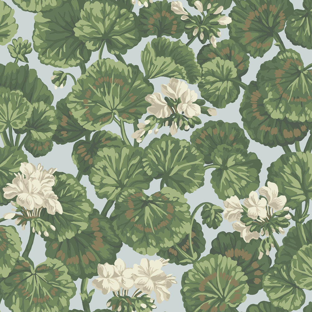 Geranium White & Sage On Seafoam by Cole & Son Wallcovering Cole & Son Wallcovering Geranium White & Sage On SeafoamWallcovering COLE & SON SEVILLE NON WOVEN - 100% United Kingdom </p><p>Repeat: H: 20.5, V: 20.5 20.5 - Fabric Carolina -