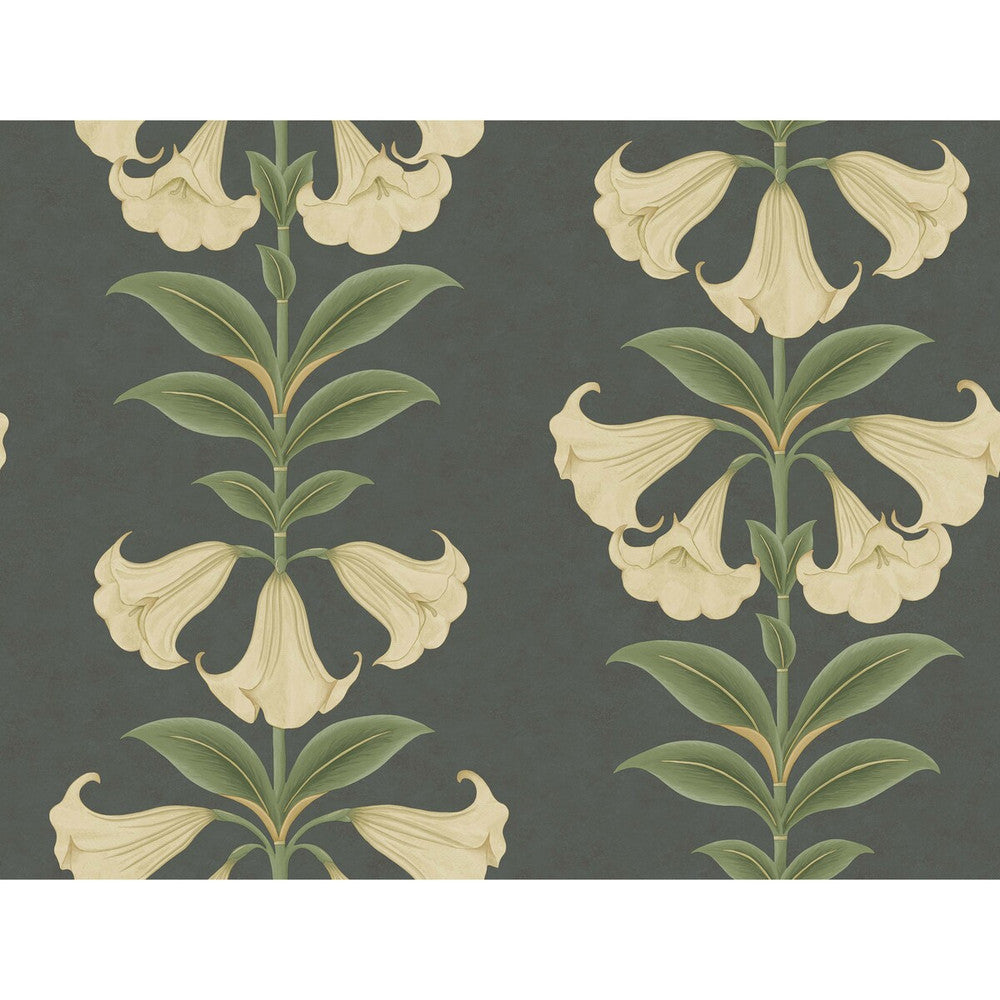 Angels Trumpet Cream/Olive Green/Charcoal by Cole & Son Wallcovering COLE & SON SEVILLE NON WOVEN - 100% United Kingdom Horizontal: 27 and Vertical: 20.5 27 - Fabric Carolina -