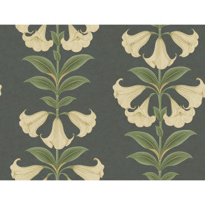 Angels Trumpet Cream/Olive Green/Charcoal by Cole & Son Wallcovering