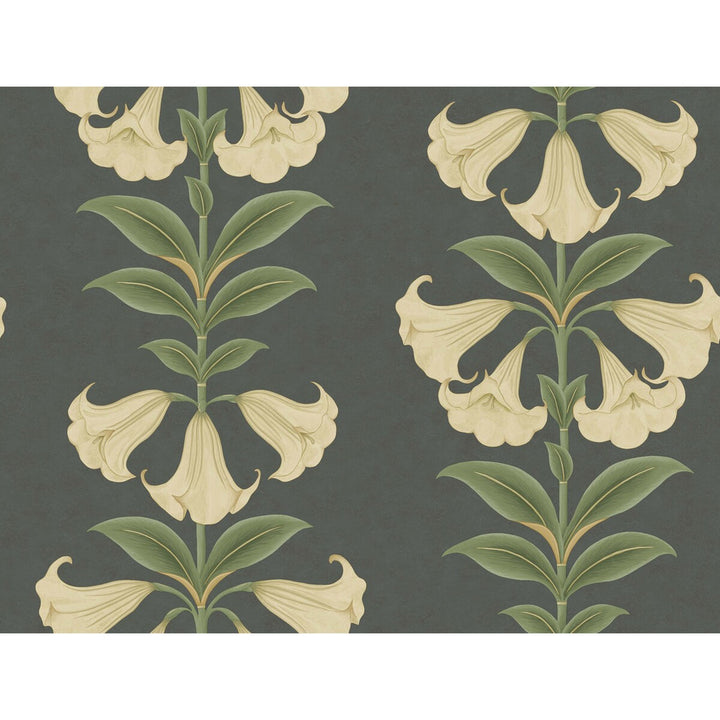 Angels Trumpet Cream/Olive Green/Charcoal by Cole & Son Wallcovering COLE & SON SEVILLE NON WOVEN - 100% United Kingdom Horizontal: 27 and Vertical: 20.5 27 - Fabric Carolina -