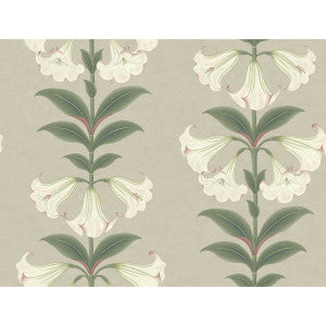Angels Trumpet Chalk & Sage On Stone by Cole & Son Wallcovering