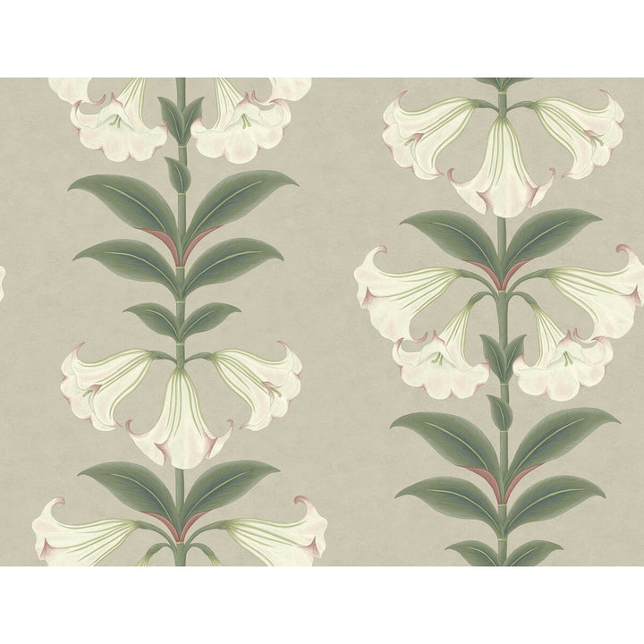 Angels Trumpet Chalk & Sage On Stone by Cole & Son Wallcovering COLE & SON SEVILLE NON WOVEN - 100% United Kingdom Horizontal: 27 and Vertical: 20.5 27 - Fabric Carolina -