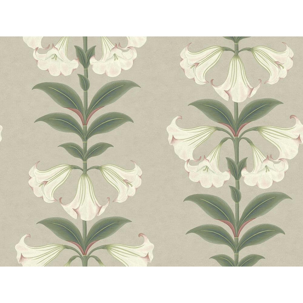 Angels Trumpet Chalk & Sage On Stone by Cole & Son Wallcovering Cole & Son Wallcovering Angels Trumpet Chalk & Sage On StoneWallcovering COLE & SON SEVILLE NON WOVEN - 100% United Kingdom </p><p>Repeat: H: 27, V: 20.5 27 - Fabric Carolina -