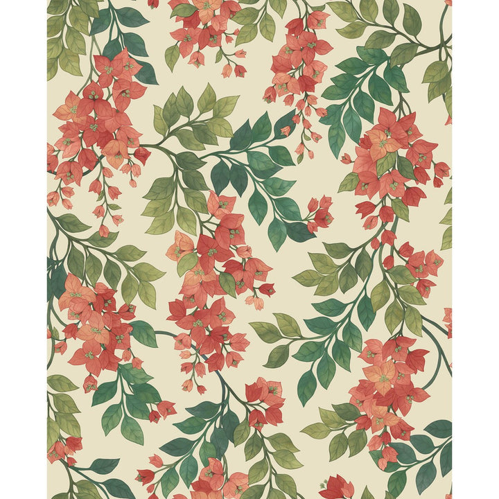Bougainvillea Rouge/Olive Grn/Emerald/Crm by Cole & Son Wallcovering COLE & SON SEVILLE NON WOVEN - 100% United Kingdom Horizontal: 20.5 and Vertical: 25.2 20.5 - Fabric Carolina -