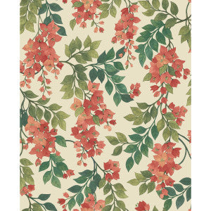 Bougainvillea Rouge/Olive Grn/Emerald/Crm by Cole & Son Wallcovering