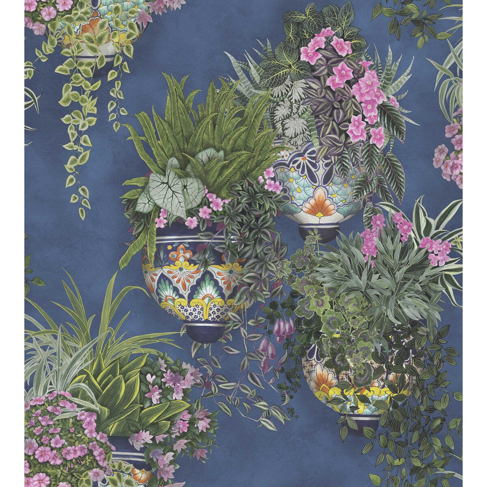 Talavera Fuchsia/Forest Green/Cerulean Sky by Cole & Son Wallcovering COLE & SON SEVILLE NON WOVEN - 100% United Kingdom Horizontal: 27 and Vertical: 30 27 - Fabric Carolina -