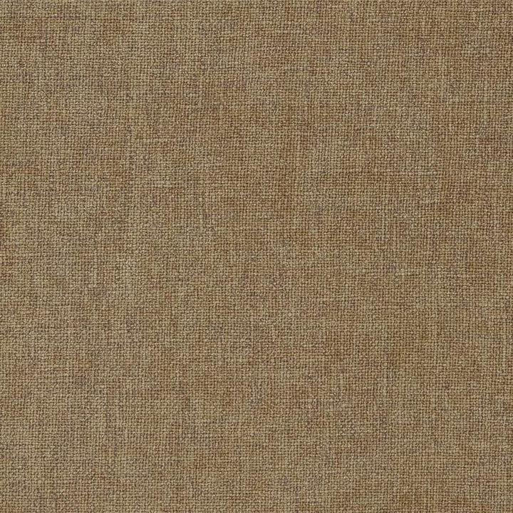 1186 Sand by Charlotte Fabric Ring Book Page #14A 82% Polyester, 18% Rayon Asia Exceeds 120,000 Wyzenbeek Rubs (Heavy Duty) No Repeat 54 Inches - Fabric Carolina -