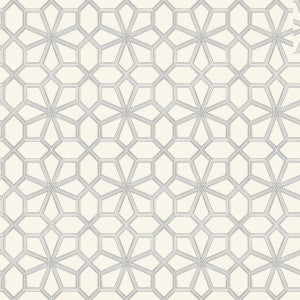 Wolsey Stars Soot On Snow by Cole & Son Wallcovering