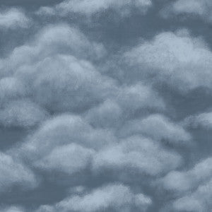 Fresco Sky Midnight by Cole & Son Wallcovering
