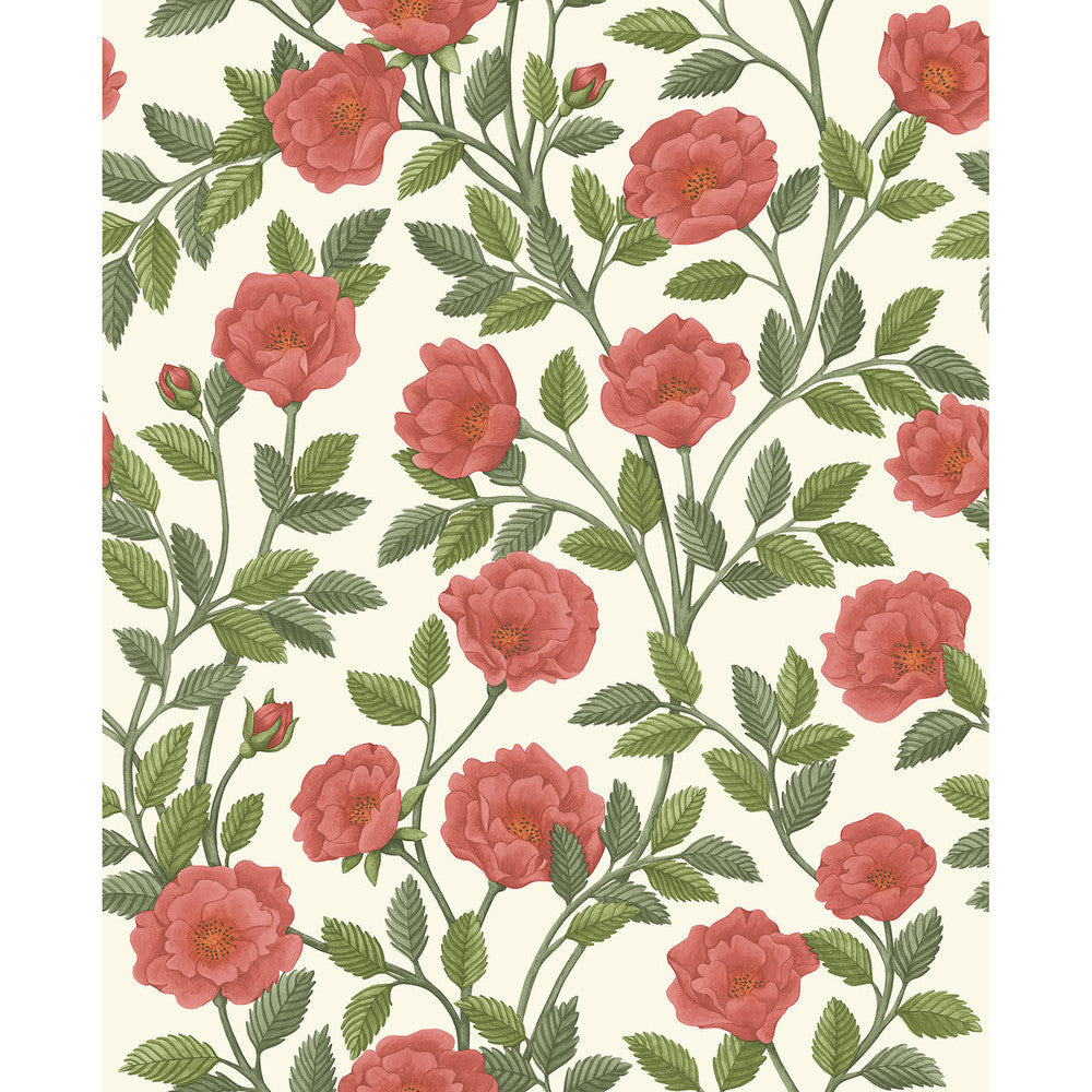 Hampton Roses R&Sgrn/Pmnt by Cole & Son Wallcovering Cole & Son Wallcovering Hampton Roses R&Sgrn/PmntWallcovering COLE & SON HISTORIC ROYAL PALACES-GREAT MASTERS NON WOVEN - 100% United Kingdom </p><p>Repeat: H: 20.5, V: 25.2 20.5 - Fabric Carolina -