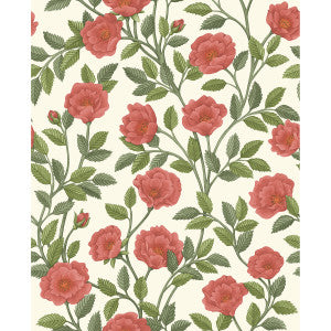 Hampton Roses R&Sgrn/Pmnt by Cole & Son Wallcovering