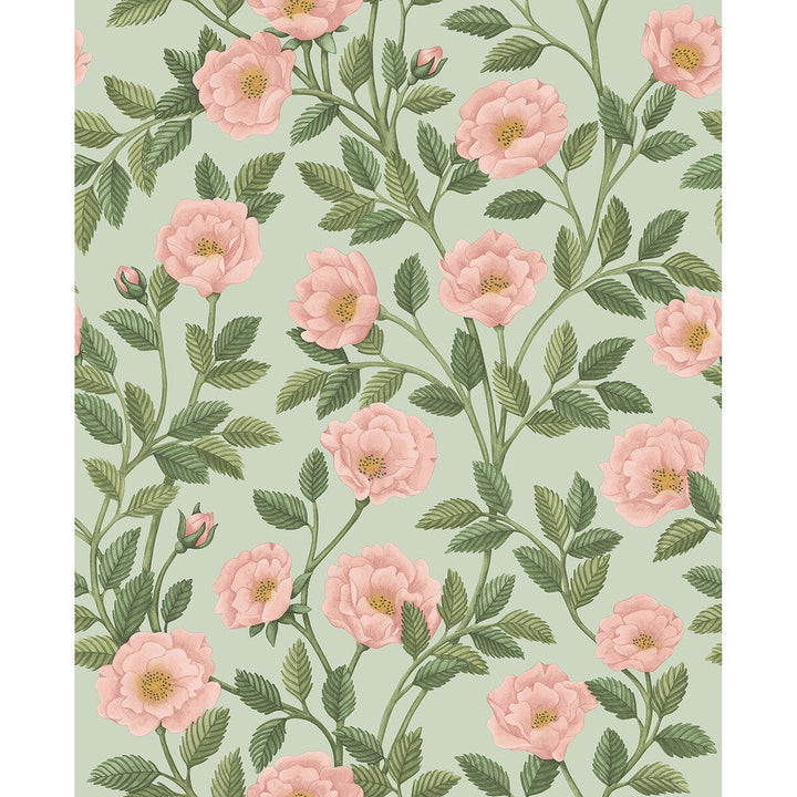 Hampton Roses R&Lgrn/Degg by Cole & Son Wallcovering Cole & Son Wallcovering Hampton Roses R&Lgrn/DeggWallcovering COLE & SON HISTORIC ROYAL PALACES-GREAT MASTERS NON WOVEN - 100% United Kingdom </p><p>Repeat: H: 20.5, V: 25.2 20.5 - Fabric Carolina -