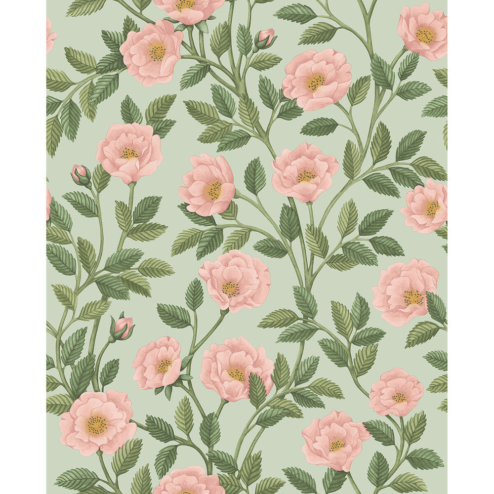 Hampton Roses R&Lgrn/Degg by Cole & Son Wallcovering COLE & SON HISTORIC ROYAL PALACES-GREAT MASTERS NON WOVEN - 100% United Kingdom Horizontal: 20.5 and Vertical: 25.2 20.5 - Fabric Carolina -