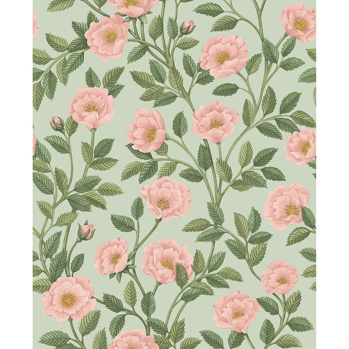 Hampton Roses R&Lgrn/Degg by Cole & Son Wallcovering COLE & SON HISTORIC ROYAL PALACES-GREAT MASTERS NON WOVEN - 100% United Kingdom Horizontal: 20.5 and Vertical: 25.2 20.5 - Fabric Carolina -