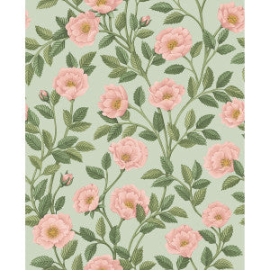 Hampton Roses R&Lgrn/Degg by Cole & Son Wallcovering