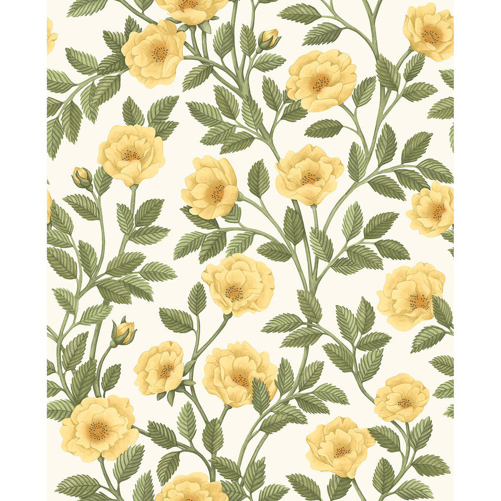 Hampton Roses Mrg&Ogrn/Wh by Cole & Son Wallcovering COLE & SON HISTORIC ROYAL PALACES-GREAT MASTERS NON WOVEN - 100% United Kingdom Horizontal: 20.5 and Vertical: 25.2 20.5 - Fabric Carolina -