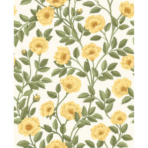 Hampton Roses Mrg&Ogrn/Wh by Cole & Son Wallcovering