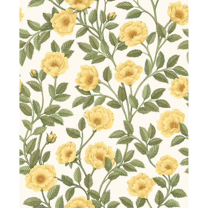 Hampton Roses Mrg&Ogrn/Wh by Cole & Son Designer Wallcovering COLE & SON HISTORIC ROYAL PALACES-GREAT MASTERS NON WOVEN - 100% United Kingdom Horizontal: 20.5 and Vertical: 25.2 20.5 - Swanky Fabrics -