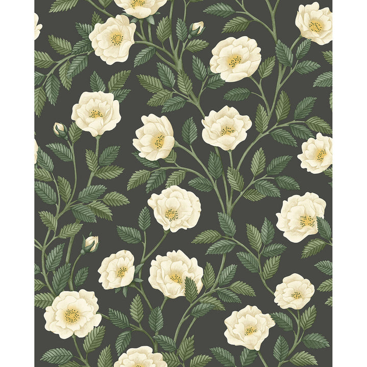 Hampton Roses Crm&Fgrn/Ch by Cole & Son Wallcovering COLE & SON HISTORIC ROYAL PALACES-GREAT MASTERS NON WOVEN - 100% United Kingdom Horizontal: 20.5 and Vertical: 25.2 20.5 - Fabric Carolina -