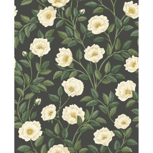 Hampton Roses Crm&Fgrn/Ch by Cole & Son Wallcovering