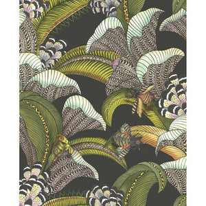 Hoopoe Leaves Olive Black by Cole & Son Wallcovering