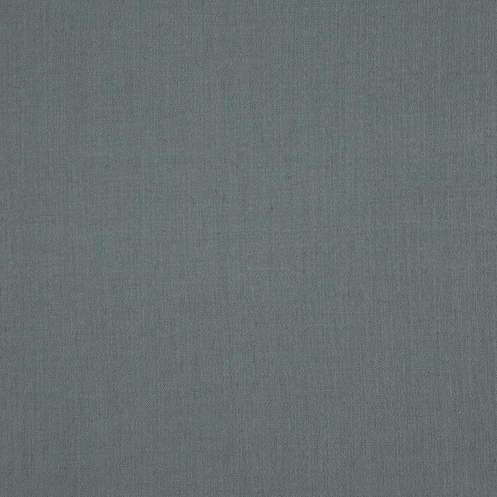 Landen Shark by RM CoCo Fabric Landen 95% POLYESTER 5% LINEN 110000 Horizontal: 0 and Vertical: 0 57 - Fabric Carolina -